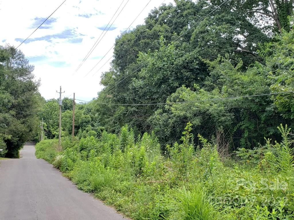 548 Caribou Road - Photo 6