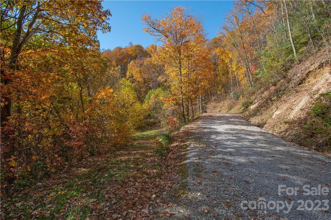 Tract 3 Sigogglin Trail - Photo 3