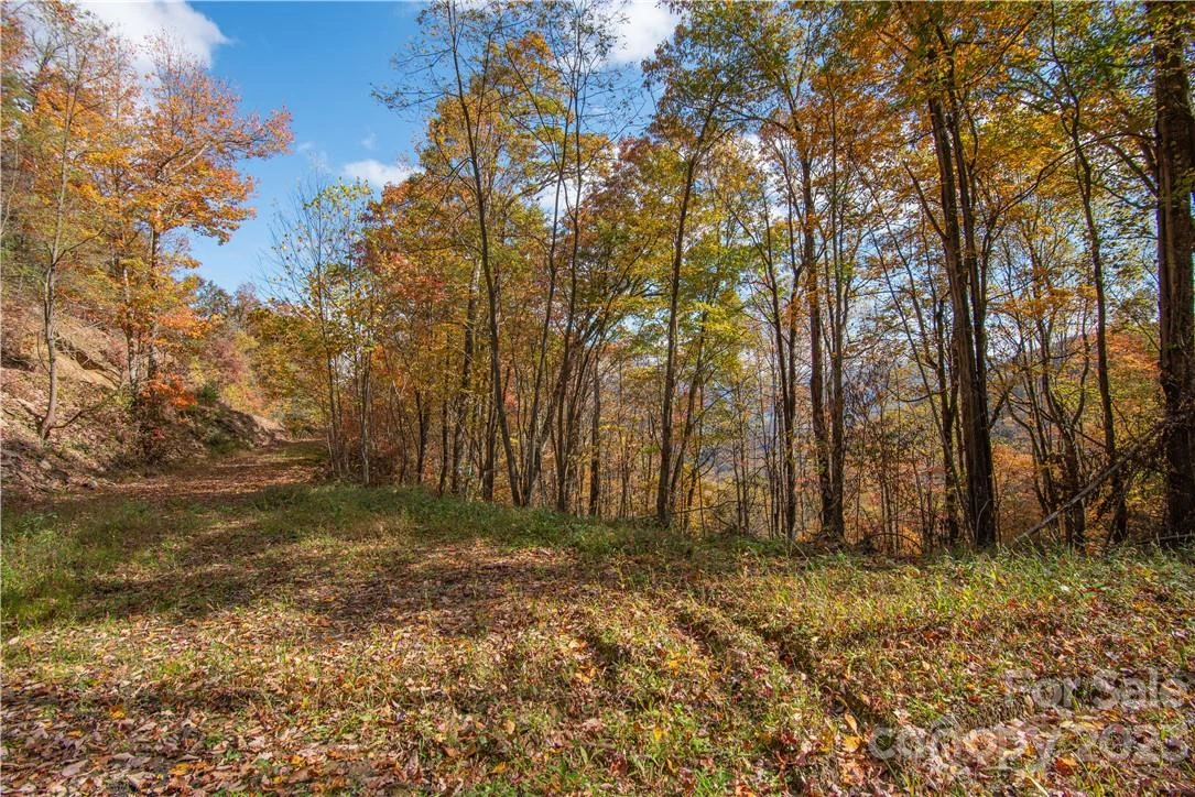Tract 3 Sigogglin Trail - Photo 5