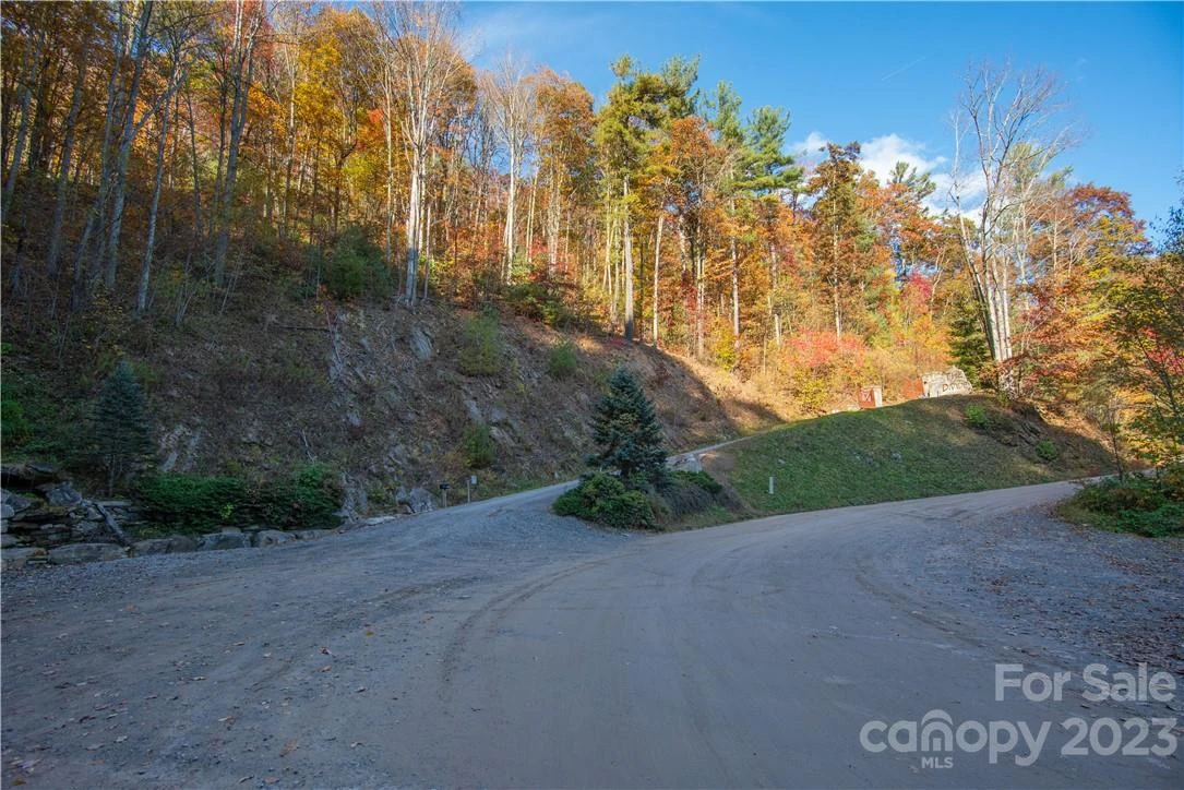 Tract 3 Sigogglin Trail - Photo 7