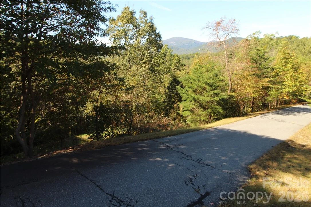 0 Boulder Ridge #45 - Photo 3