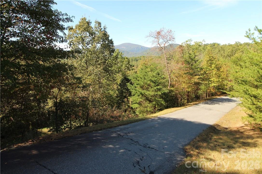 0 Boulder Ridge #45 - Photo 4