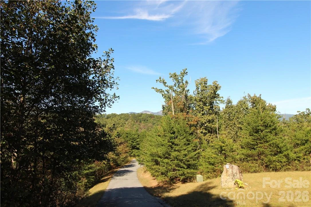 0 Boulder Ridge #45 - Photo 5