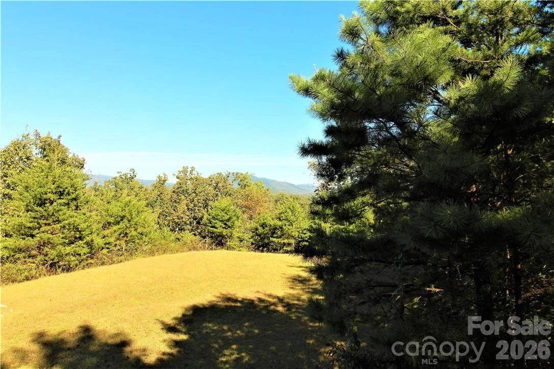 0 Boulder Ridge #45 - Photo 6