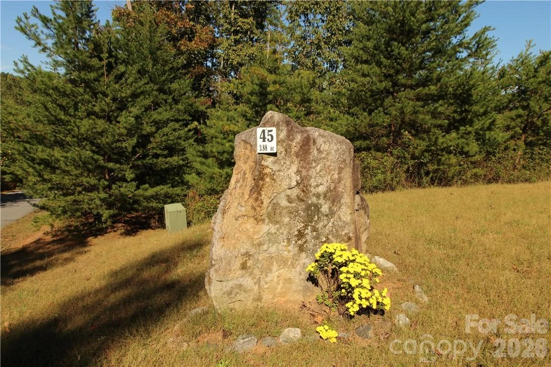 0 Boulder Ridge #45 - Photo 7
