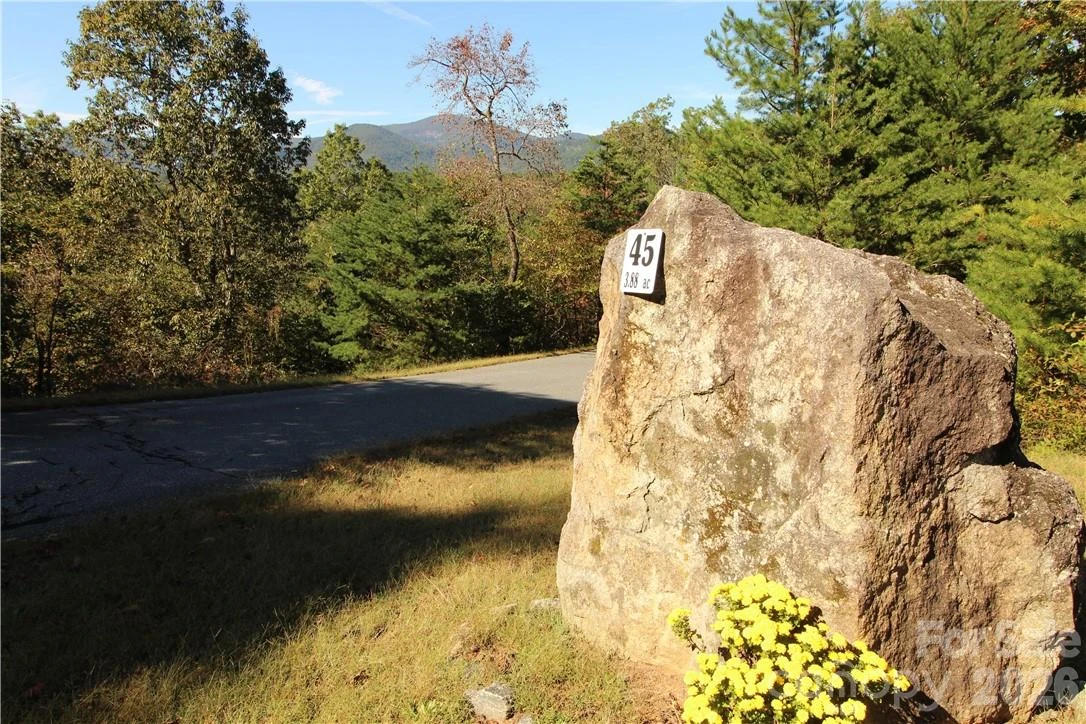 0 Boulder Ridge #45 - Photo 8