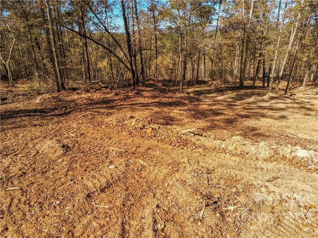 0 Hardin Store Road - Photo 11