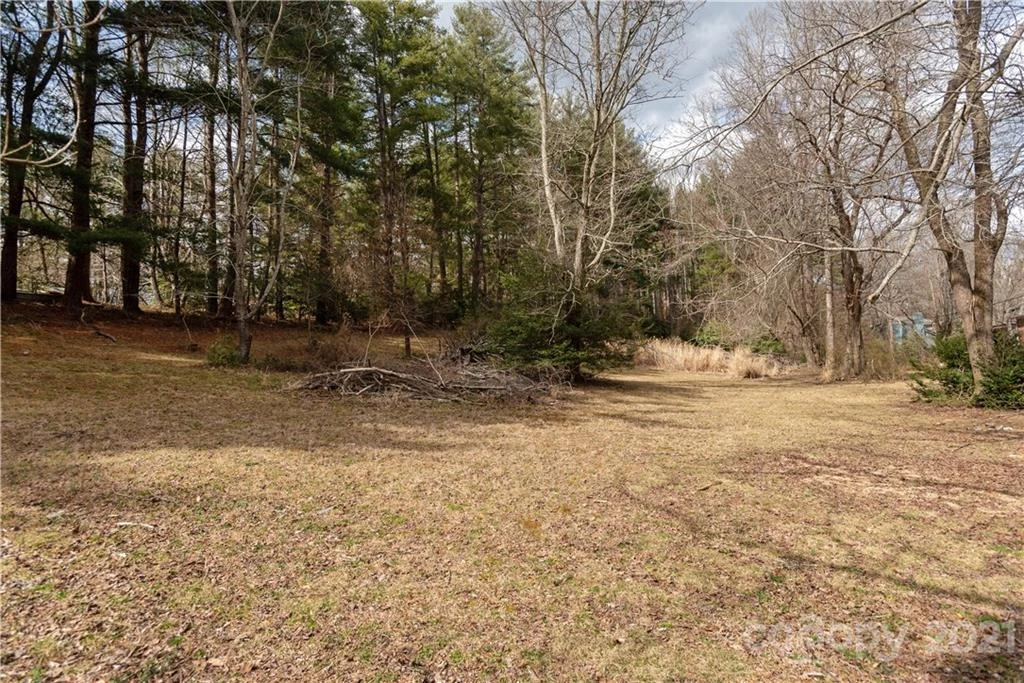 93 & 95 Springside Road - Photo 15