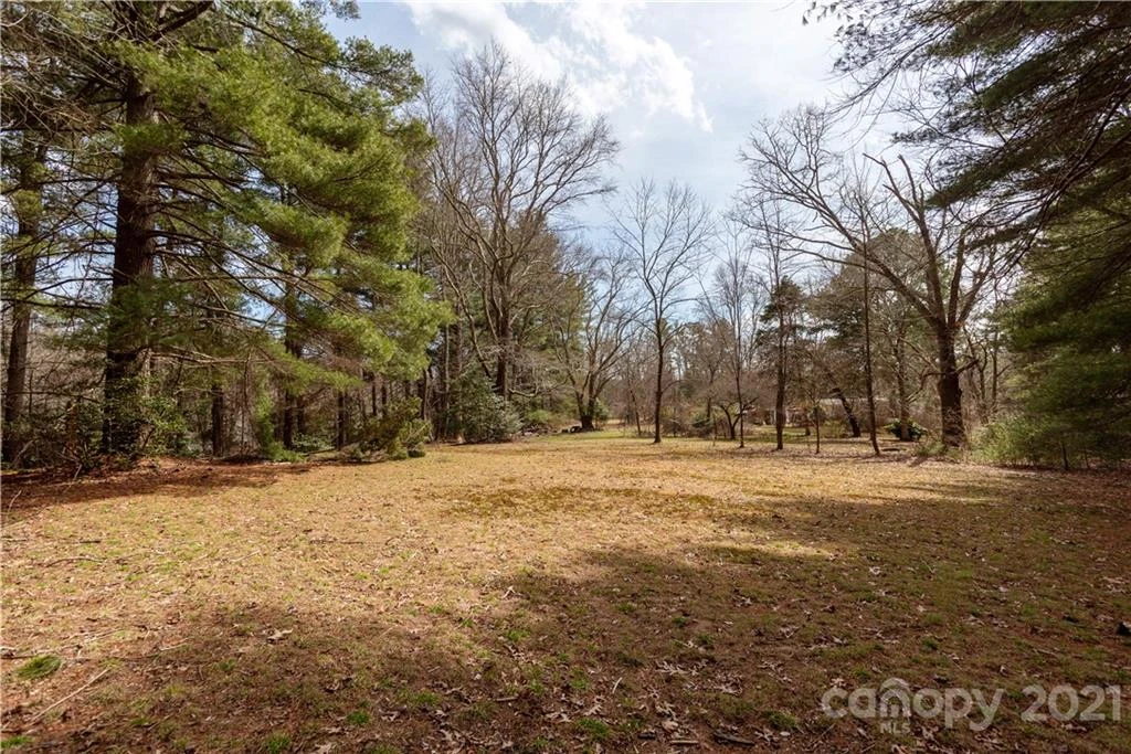 93 & 95 Springside Road - Photo 9
