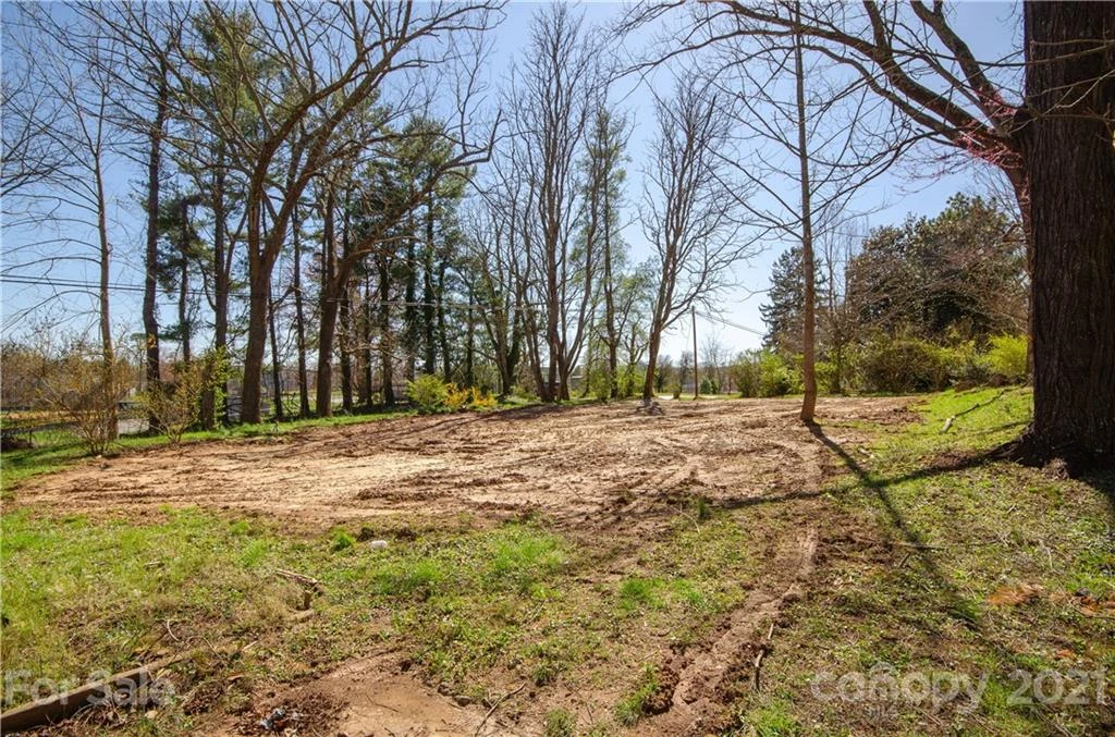 93 & 95 Springside Road - Photo 26