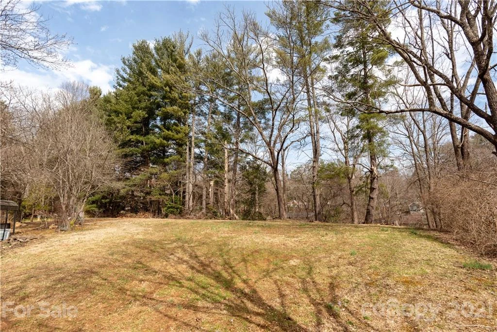 93 & 95 Springside Road - Photo 7