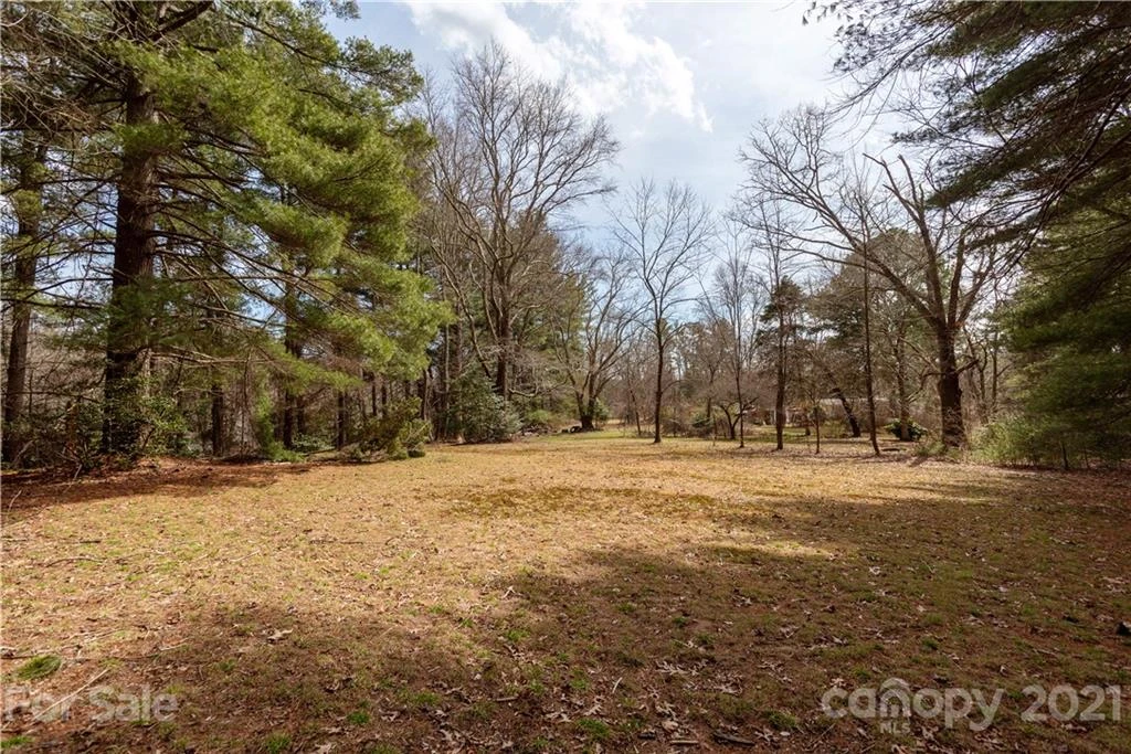93 & 95 Springside Road - Photo 9