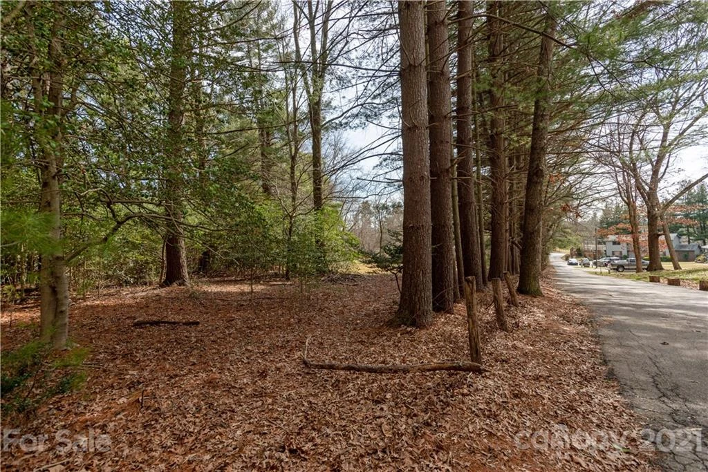 93 & 95 Springside Road - Photo 10