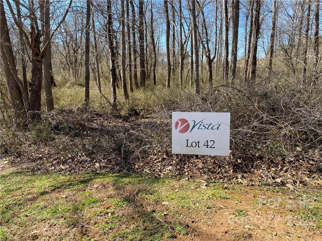 000 Bridge Lane #42 - Photo 2