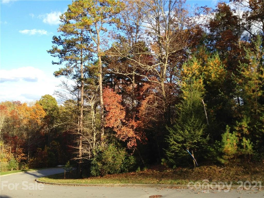 Upper Camptown Road #M110 - Photo 2