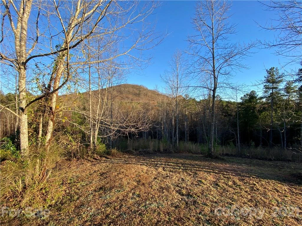 316 Pilot Ridge Road #11 - Photo 15