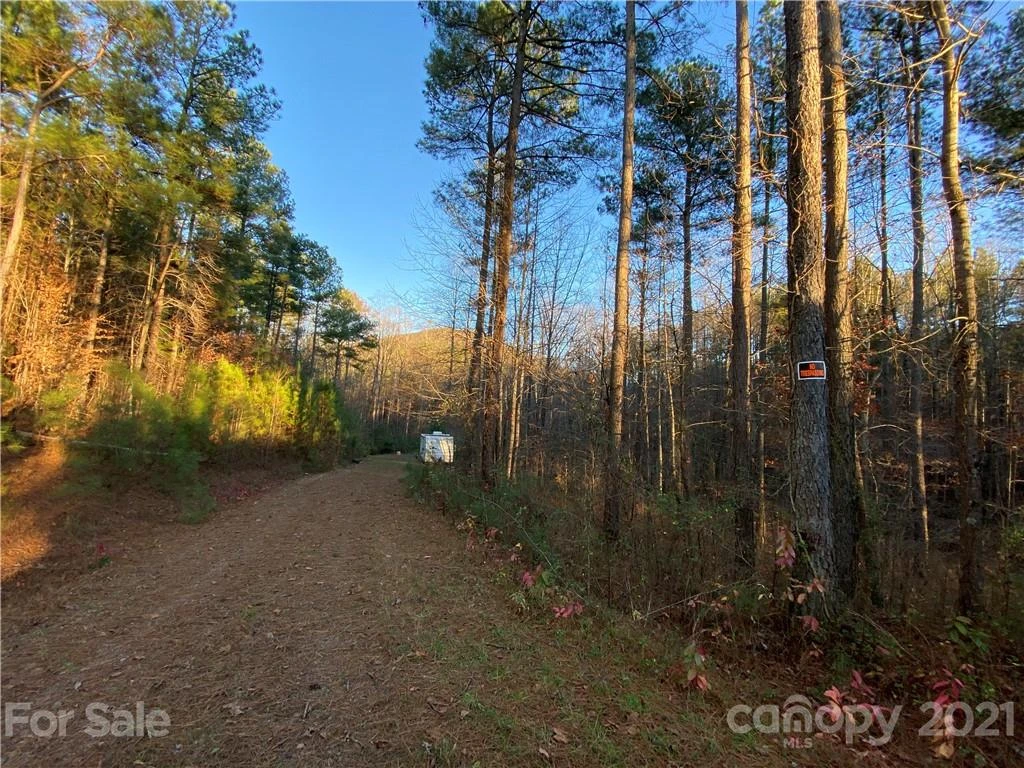 316 Pilot Ridge Road #11 - Photo 32