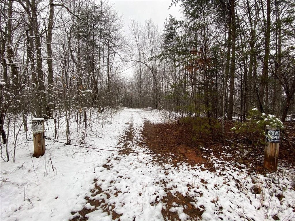 356 Pilot Ridge Road #12 - Photo 28