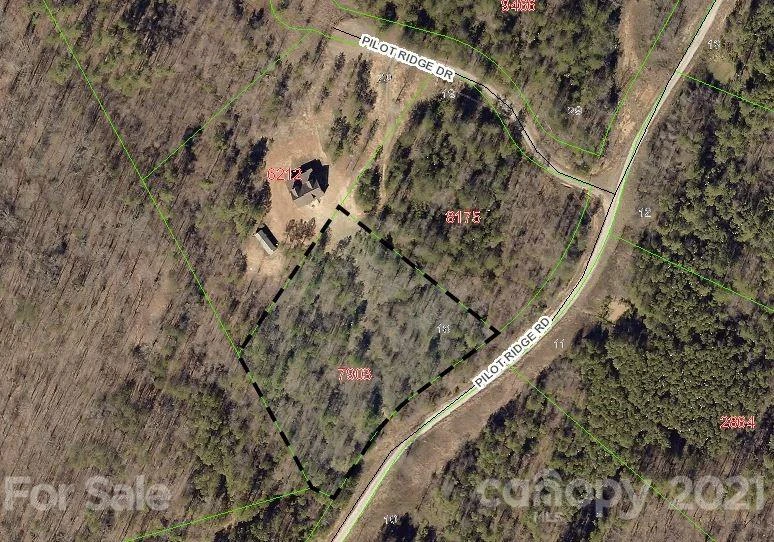 257 Pilot Ridge Road #18 - Photo 3
