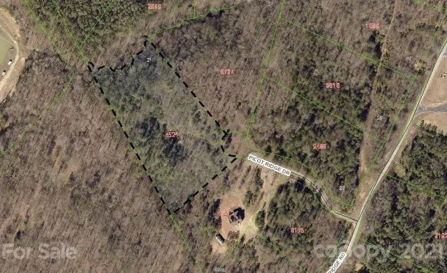 95 Pilot Ridge Road