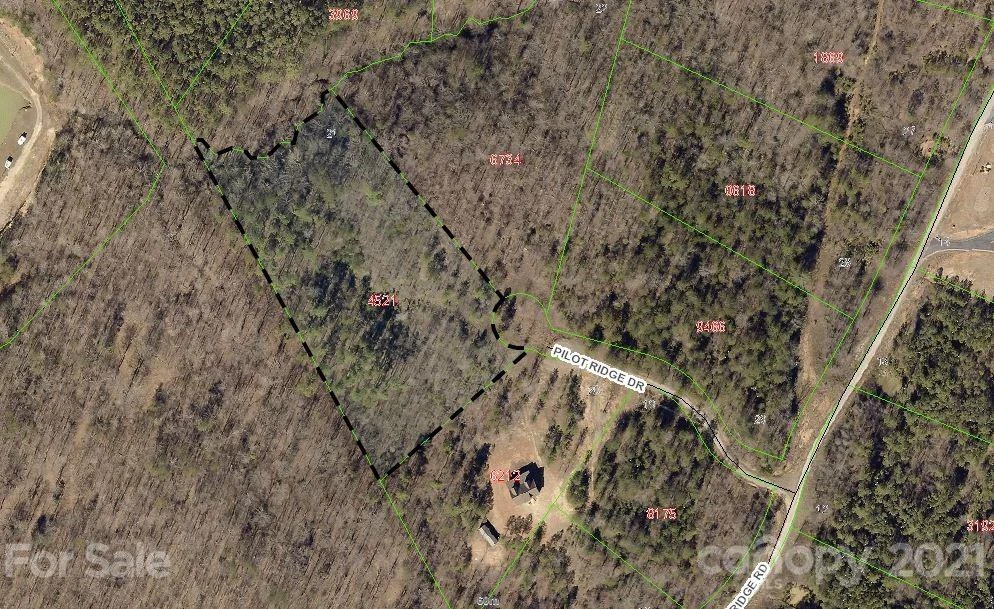95 Pilot Ridge Road #21