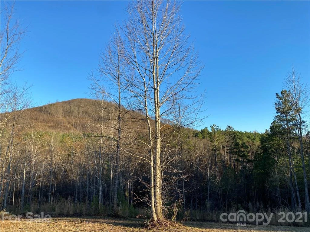94 Pilot Ridge Road #22 - Photo 12