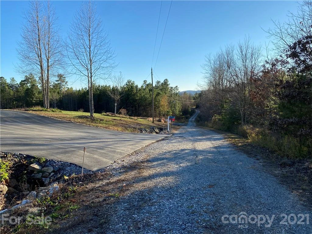 429 Pilot Ridge Road #28 - Photo 11