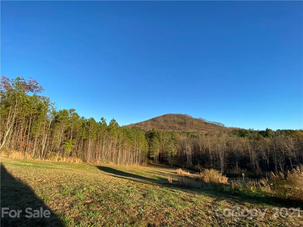 429 Pilot Ridge Road #28 - Photo 13
