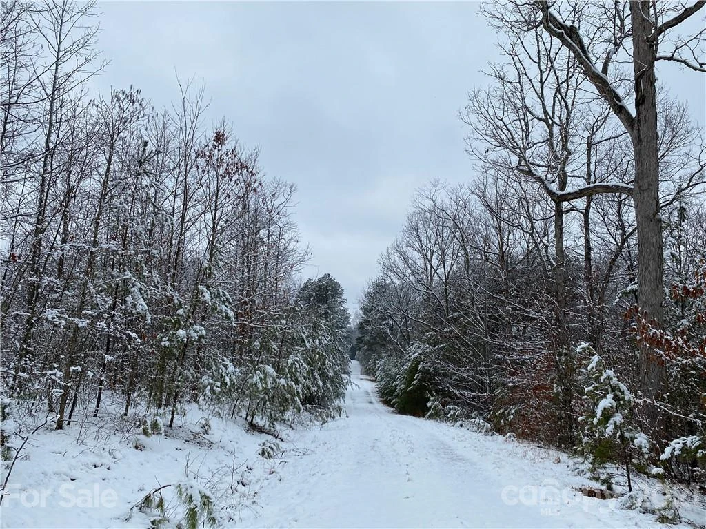 429 Pilot Ridge Road #28 - Photo 25