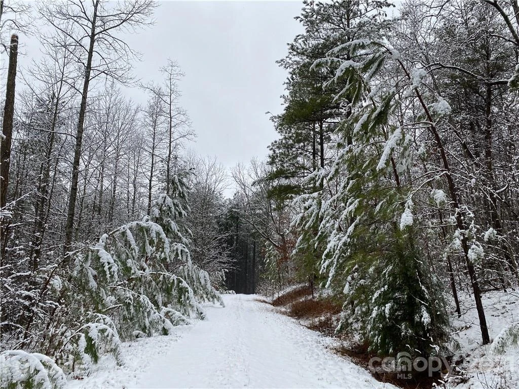 429 Pilot Ridge Road #28 - Photo 29