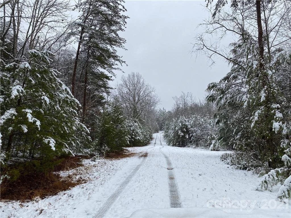 429 Pilot Ridge Road #28 - Photo 30