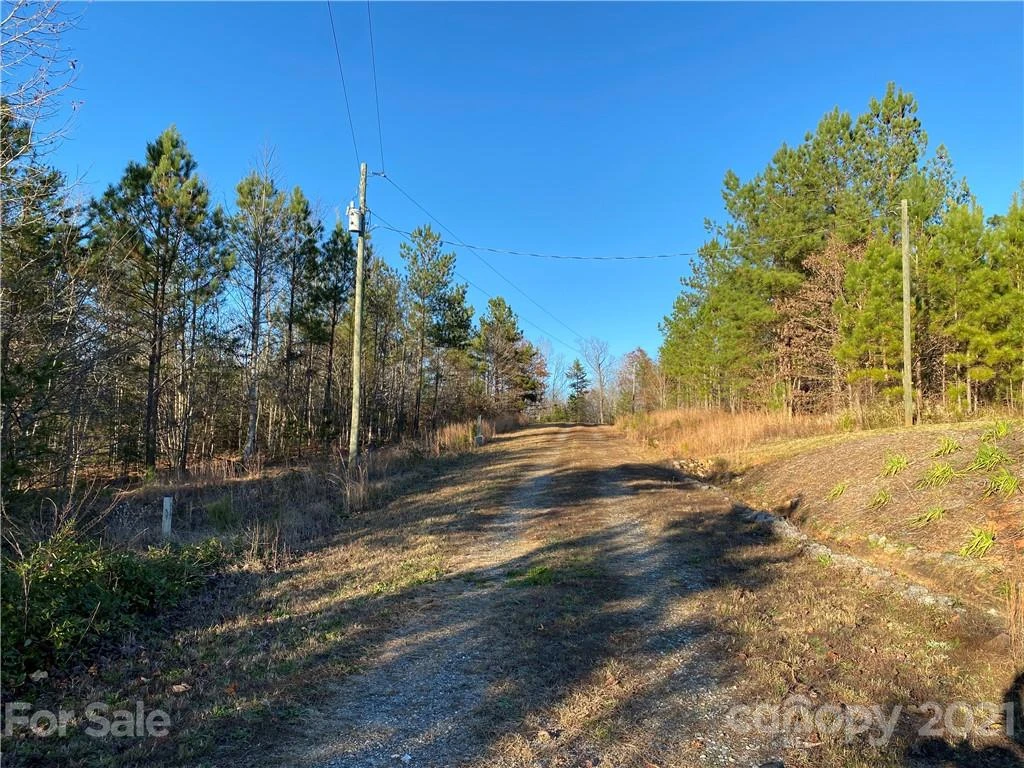 429 Pilot Ridge Road #28 - Photo 9