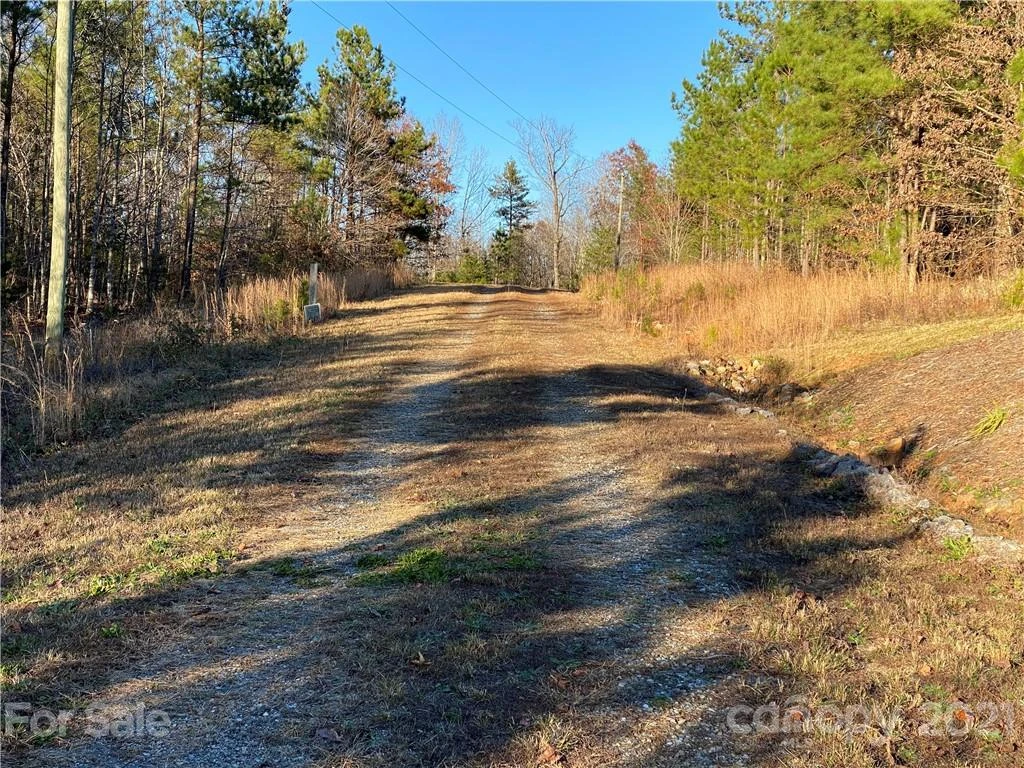 429 Pilot Ridge Road #28 - Photo 10
