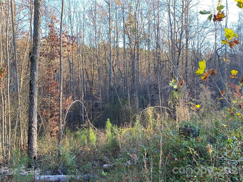 0 Bailey Off Road - Photo 6