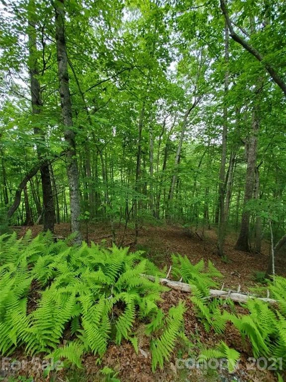 141 River Club Trail #8 - Photo 2