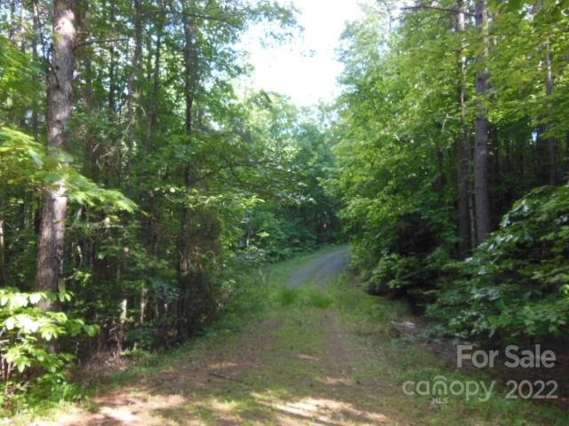 9 and 10 Grassy Knob Road #9 and 10 - Photo 5
