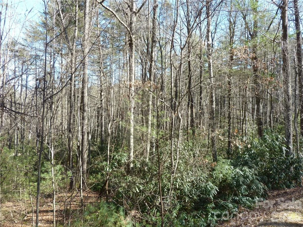 30 Abby Falls Drive #30 - Photo 2