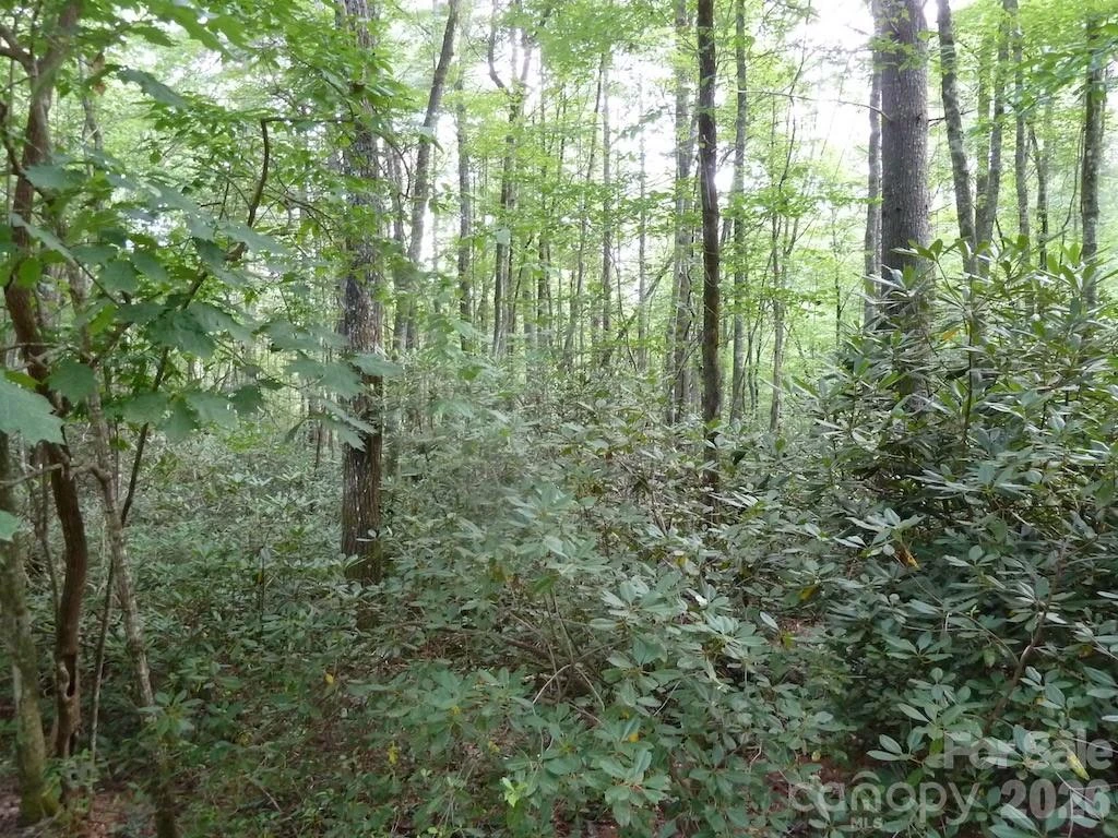 30 Abby Falls Drive #30 - Photo 9