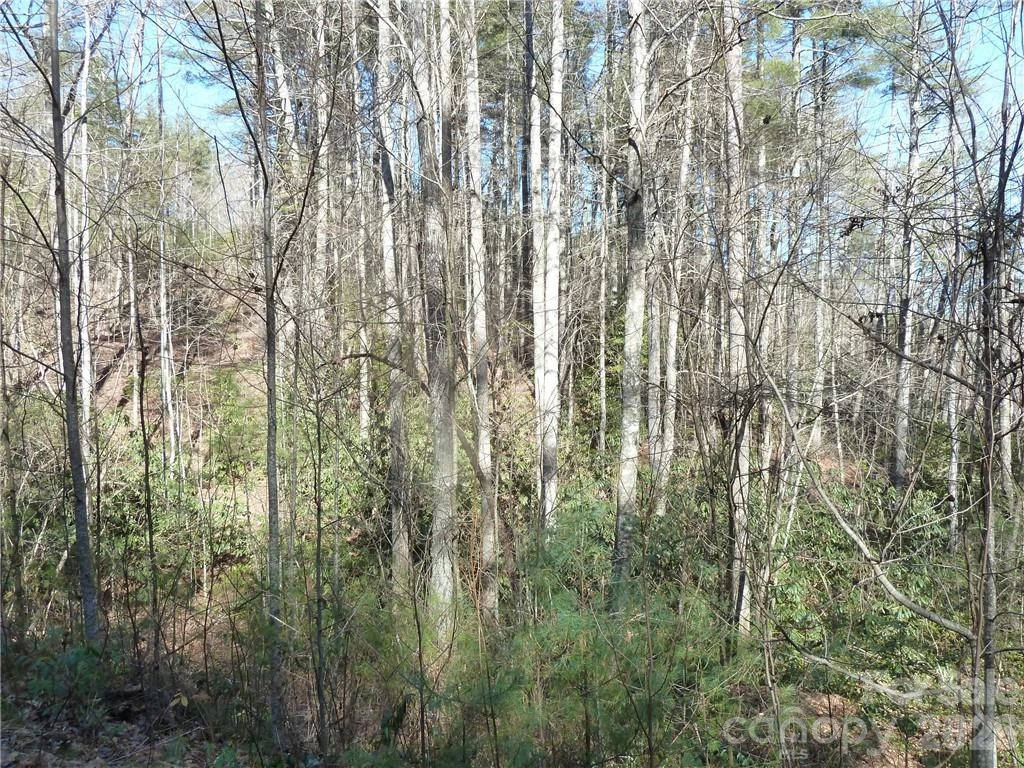 30 Abby Falls Drive #30 - Photo 17