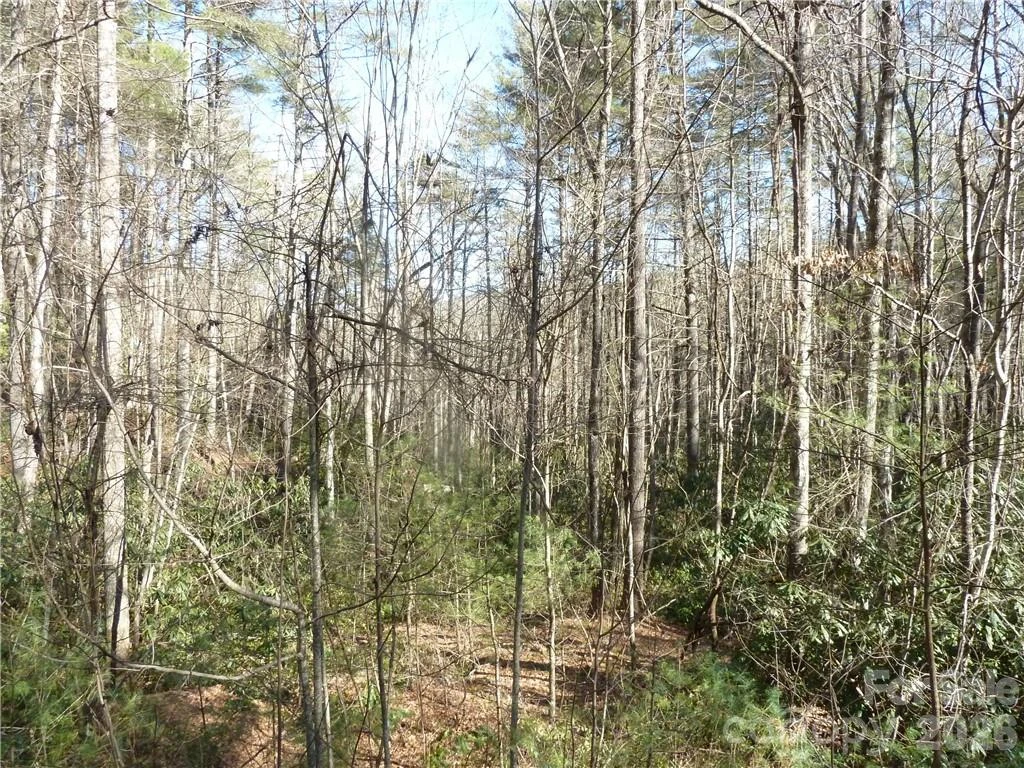 30 Abby Falls Drive #30 - Photo 19