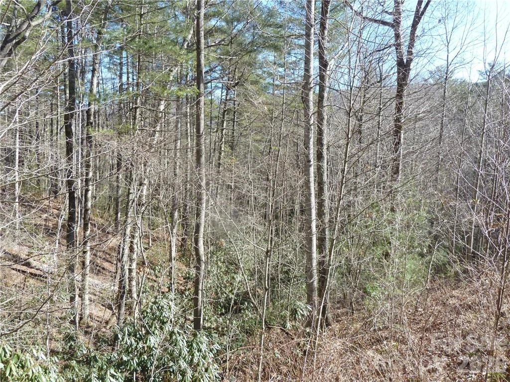 30 Abby Falls Drive #30 - Photo 22