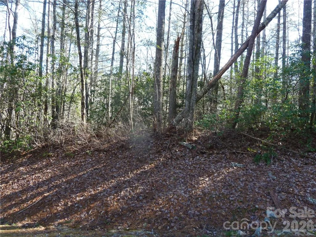 30 Abby Falls Drive #30 - Photo 23