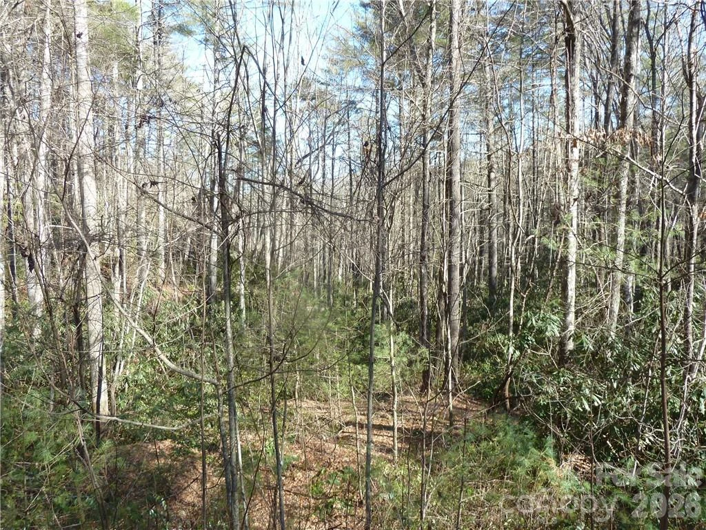 30 Abby Falls Drive #30 - Photo 24