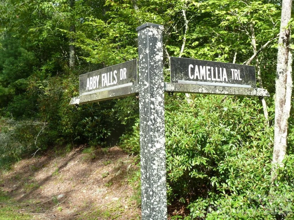 30 Abby Falls Drive #30 - Photo 26