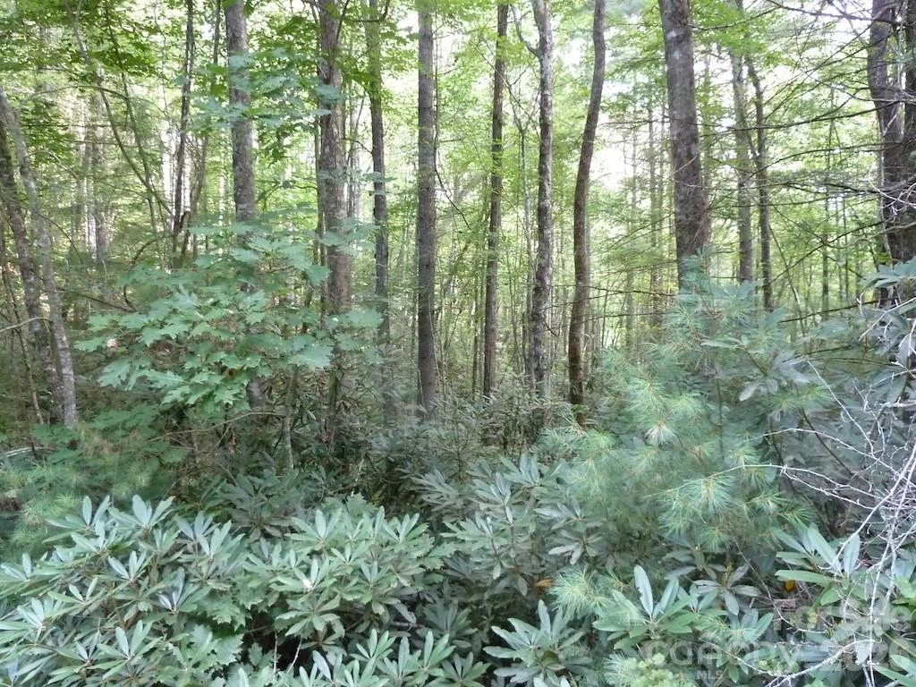 30 Abby Falls Drive #30 - Photo 27