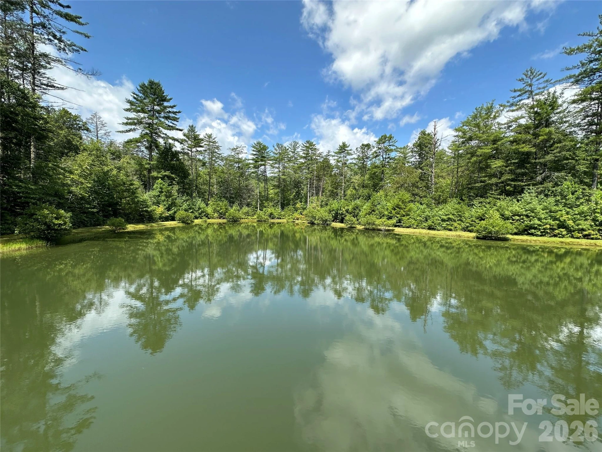 30 Abby Falls Drive #30 - Photo 29