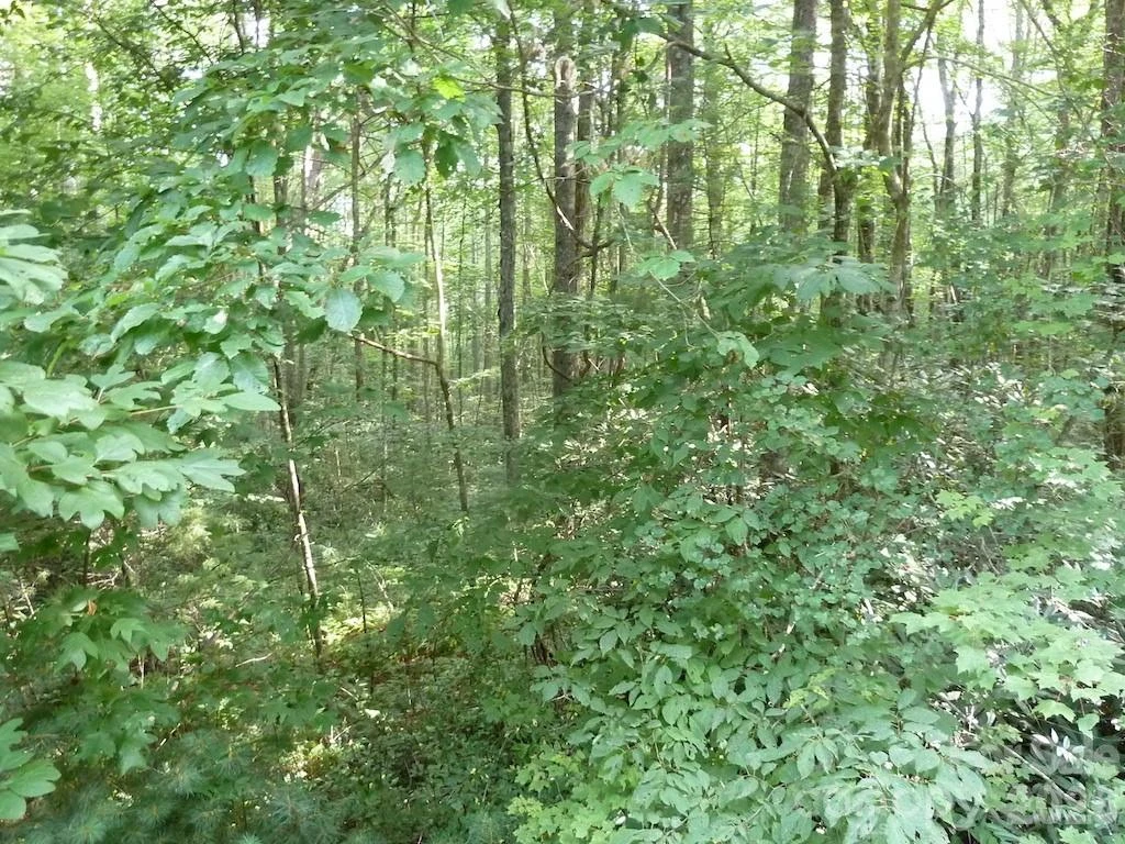 30 Abby Falls Drive #30 - Photo 30