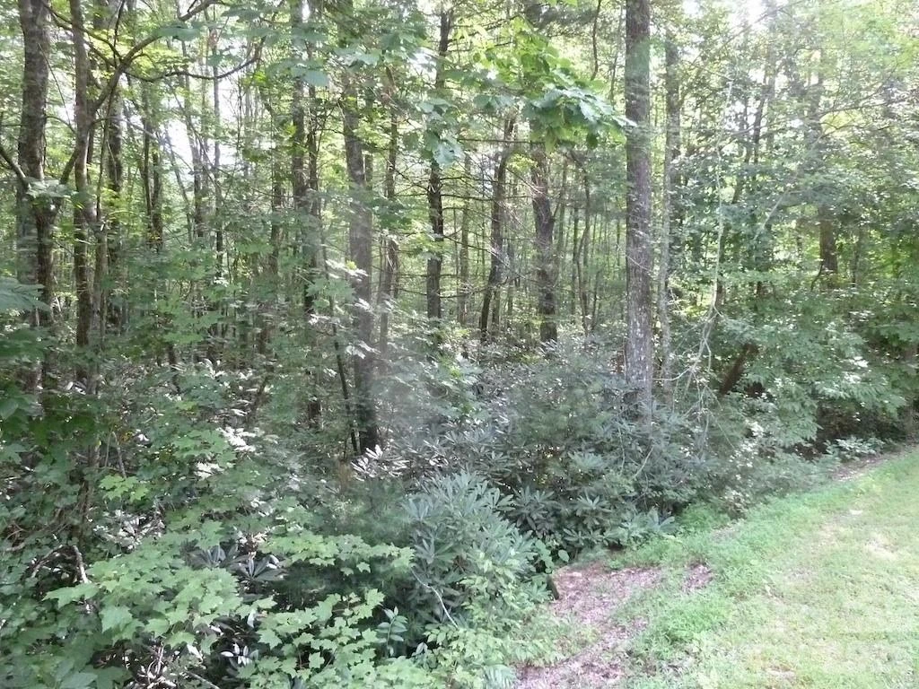 30 Abby Falls Drive #30 - Photo 31