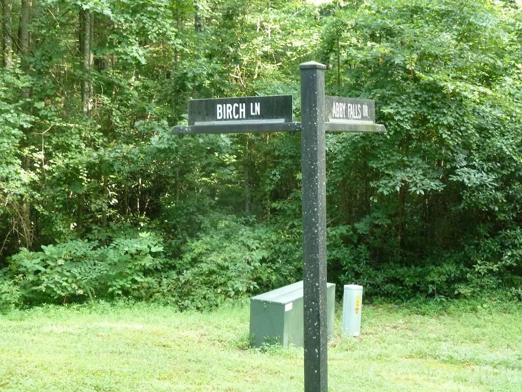 30 Abby Falls Drive #30 - Photo 33