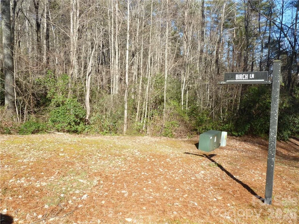 30 Abby Falls Drive #30 - Photo 35
